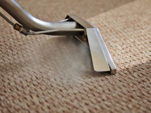 Carpet Cleaning and Stain Removal